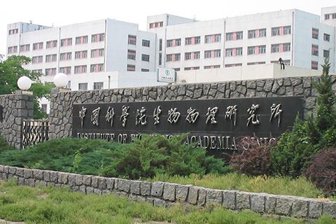 Chinese Academy of Sciences (CAS)