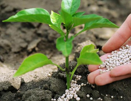 Production of nitric acid, urea and other chemical fertilizers